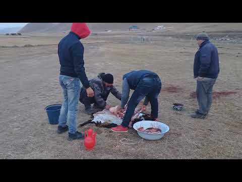 Видео: Подготовка, Кыз Узатуу Майрам Майрамбек