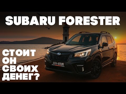 Видео: Обзор Subaru Forester / Плюсы, минусы, рекомендации
