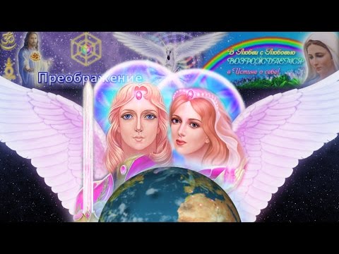 Видео: Священные Лучи Служений. Розовое Пламя. Архангел Чамуил и Архея Любовь