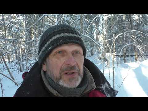 Видео: Прощай, Белое Безмолвие (1)