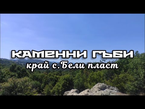 Видео: Каменни гъби - с. Бели пласт