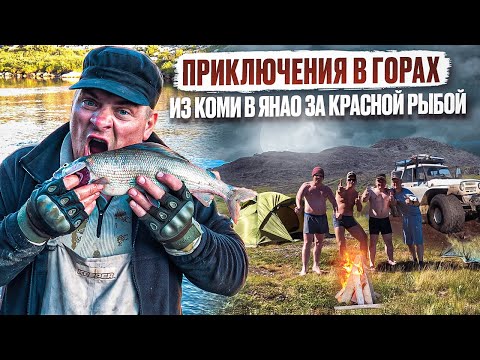 Видео: В ПОИСКАХ КРАСНОЙ РЫБЫ // ПРИКЛЮЧЕНИЯ В ГОРАХ // МАЛЬМА, ПАЛИЯ, ХАРИУС // ПОЛНАЯ ВЕРСИЯ