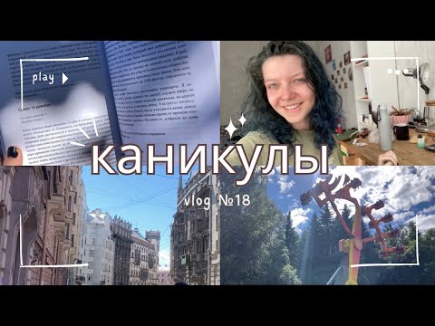 Видео: влог: медленная жизнь в петербурге / неделя из жизни на петроградке