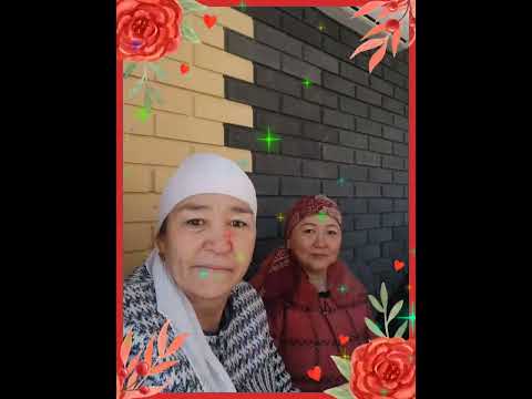 Видео: 4 ноября 2025 г.