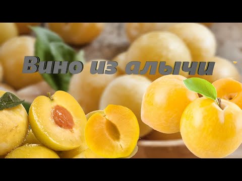 Видео: Вино из Алычи. Как приготовить вино из Алычи дома. Часть 1