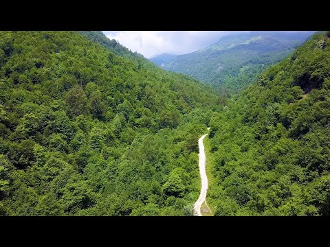 Видео: Камбаните бијат за уништувањето на Шара