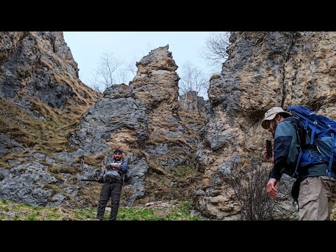 Видео: Случайно Обнаружили Древнее поселение в Горах