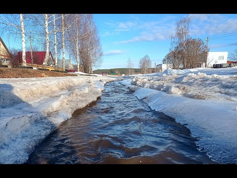 Видео: Пришла весна. Опиливаем Клённик. Заготовка дров. Готовим еду на печке. Типичная жизнь в деревне.