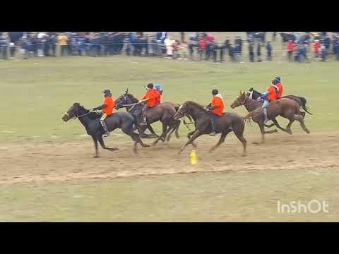 Видео: Аламан байге 23 км. 22 наурыз Коксу ауданы, Жамбыл ауылы