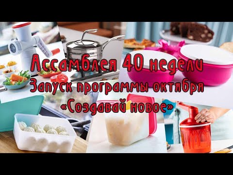 Видео: Ассамблея 40 недели Запуск программы октября «Создавай новое»