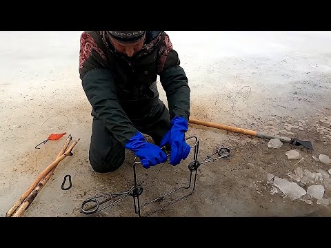 Видео: Охота на БОБРА капканами КП-320 Кировские I Новые места для  будущей охоты / серия №3