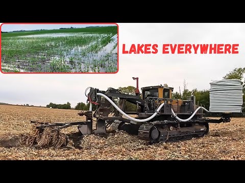 Видео: Неисправный дренаж фермы: как это исправить?