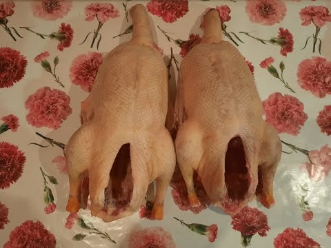Видео: Как ощипать гуся быстро и правильно в домашних условиях!