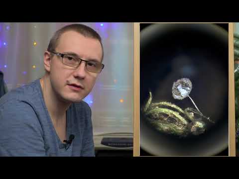 Видео: Выбор камеры для микроскопа  Часть 1