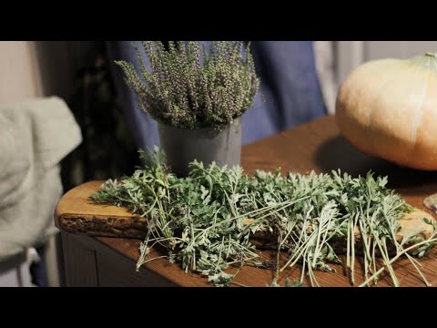 Видео: Корзинка из полыны. Эксперимент с плетением из трав и иглолок сосны