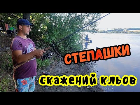 Видео: РИБОЛОВЛЯ В СТЕПАШКАХ / НАЛОВИЛИ КУПУ ПЛОТВИ НА РІЧЦІ ПІВДЕННИЙ БУГ
