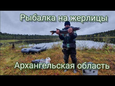 Видео: Рыбалка на жерлицы на озере в Архангельской области