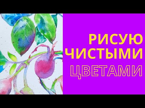 Видео: Как рисовать чистыми цветами? Смешиваю прямо на работе