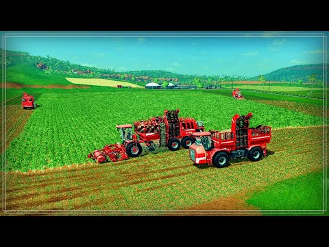 Видео: Farming Simulator 17 (CoursePlay) Уборка Свёклы.