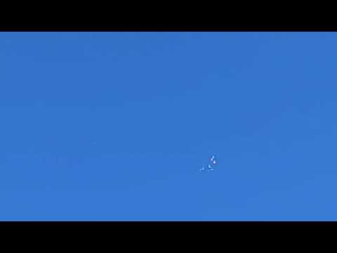 Видео: Ижевские голуби. Полёты 23.07.24.