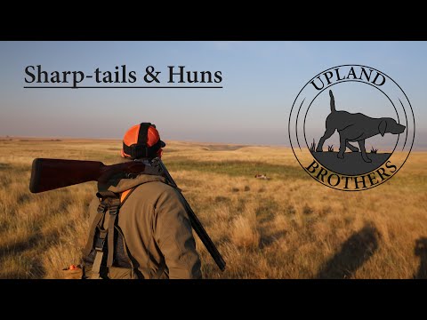 Видео: Острохвосты и гунны — Монтана 2024 — Часть 2