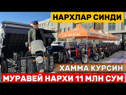Видео: МАНА НАРХЛАР СИНДИ 11 МЛН СУ́М МУРАВЕЙ ХАММА КУ́РСИН ШОШИЛАМИЗ ФАКАТ 10 КУН!