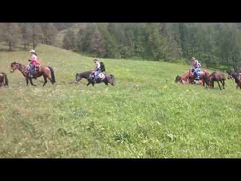 Видео: Однодневная конная экскурсия Верх Апшуяхта