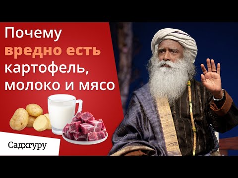 Видео: Путь к бодрости и ясности ума лежит через желудок