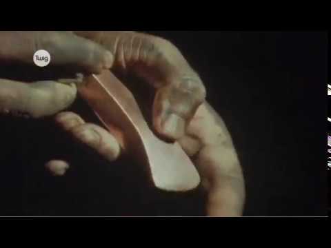 Видео: сплав