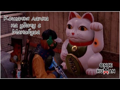 Видео: Кошачья головоломка: хитрый кот, приносящий удачу, Манибус Once Human