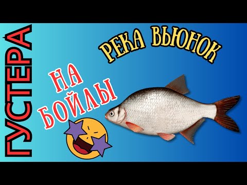 Видео: Русская Рыбалка 4. Река Вьюнок. Густера на бойлы.