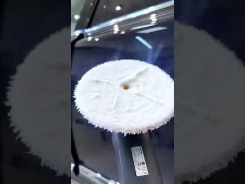 Видео: Ищешь надежный и долговечный круг для орбитальной машинки?