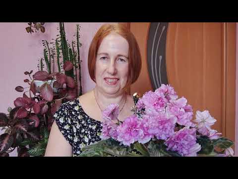 Видео: Информация для зрителей моего Ютуб канала.
