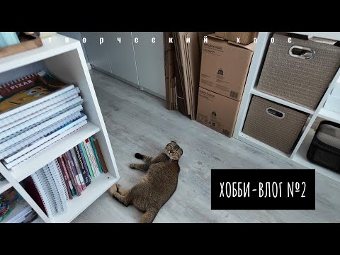 Видео: Хобби-влог №2