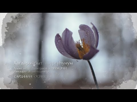 Видео: Хагдарыйбыт ньургуһунум. Сардаана Осипова