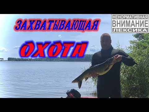 Видео: Захватывающая подводная охота (присутствует ненормативная лексика).