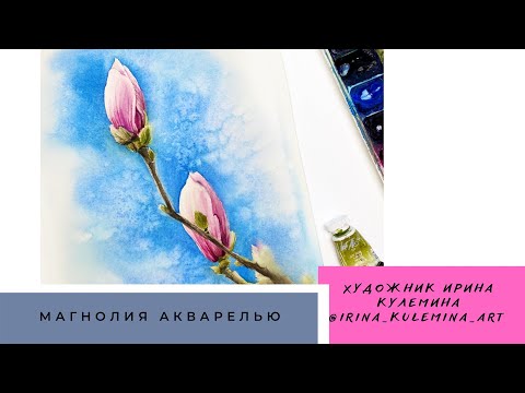Видео: как нарисовать магнолию акварелью / весенние цветы акварелью / рисование акварелью бесплатный мк