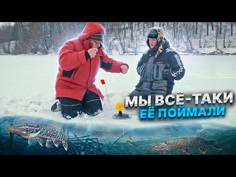 Видео: МЫ ВСЁ-ТАКИ ЕЁ ПОЙМАЛИ