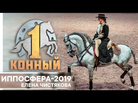 Видео: «Иппосфера-2019». Номер с андалузскими и американскими миниатюрными лошадьми.