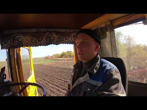 Видео: Трактор Кировец. Часть 1. Дискование поля после уборки подсолнечника.