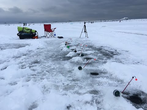 Видео: Ловля корюшки на Южной дамбе Финского залива ( ice fishing for smelt in the Gulf of Finland )