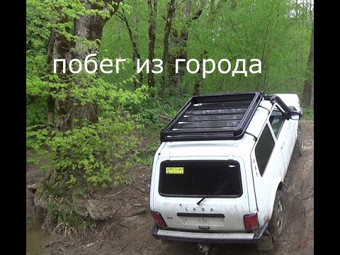 Видео: Слиняли из города. Прокатились по лесу. Ласса и сафарь 500. В лесу на карантине.