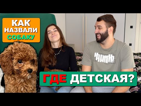 Видео: ГДЕ ЖЕ ДЕТСКАЯ? КАК МЫ НАЗВАЛИ СОБАКУ?