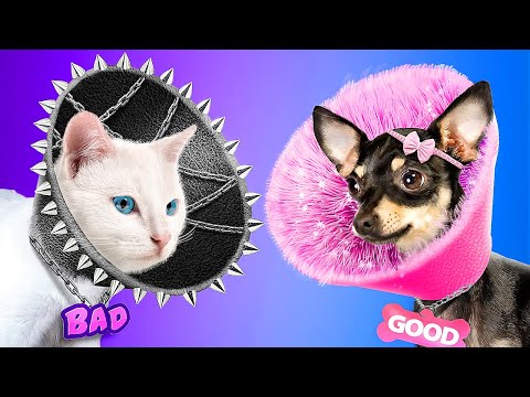 Видео: Хорошая собака vs плохой кот! Мы построили домики для домашних животных