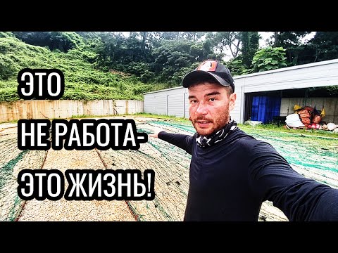 Видео: Работаю в Корее 3 | Один день на рыболовном судне |