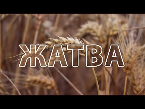Видео: Жатва - КАРАОКЕ / Давно жатва созрела