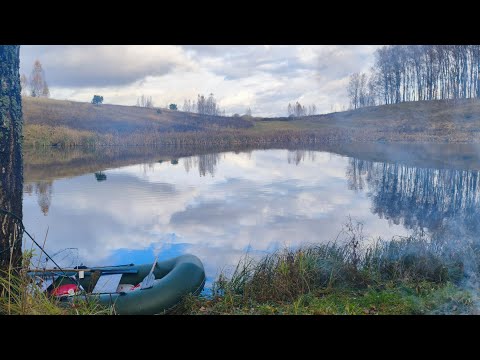 Видео: РЫБАЛКА ОСЕНЬЮ НА КРУЖКИ. РЫБАЛКА НА ЩУКУ.