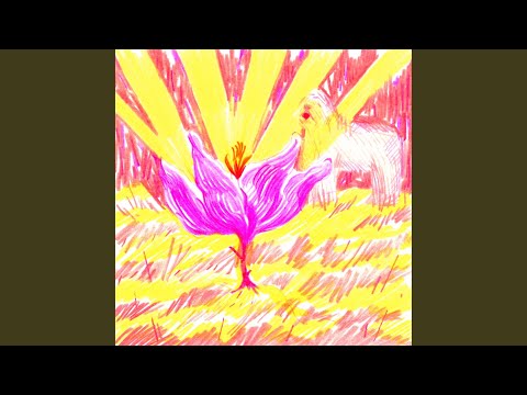 Видео: Отражение