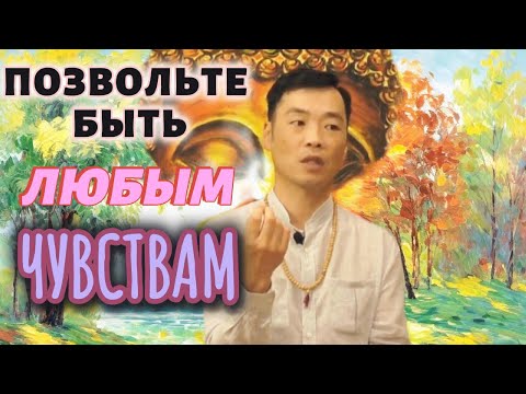 Видео: Иллюзия держится на отказе от проживания истинных чувств (эмоций). Rama Divine Leela.