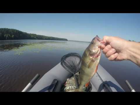 Видео: Белый яр  Слияние рек Немда,Унжа и Волга